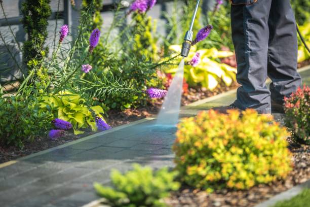 Best Spring Cleaning  in Dunellen, NJ