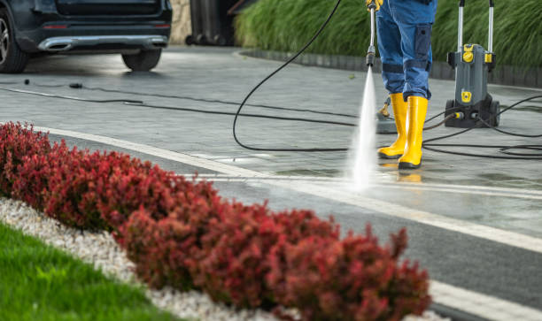 Best Driveway Pressure Washing  in Dunellen, NJ